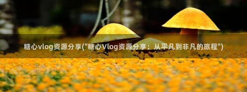 糖心vlog女主播推荐:糖心vlog资源