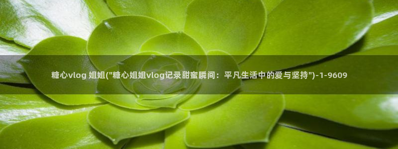 糖心vlog图标:糖心vlog 姐姐(\